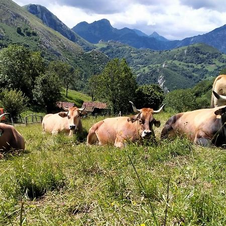 Casa La Fragua 15 Min De Onís Zewnętrze zdjęcie